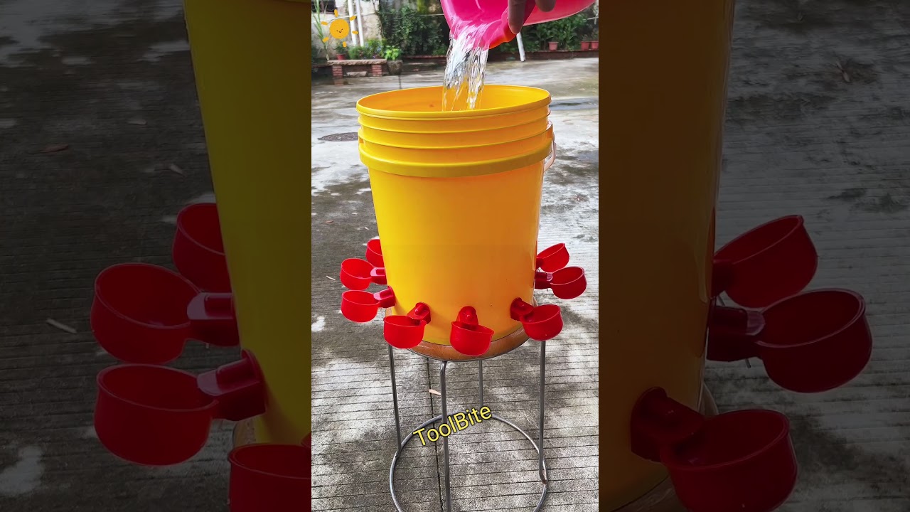 Automatic Water Feeder for Chickens, Ducks, and Geese – Save Time and Effort! #viralshorts