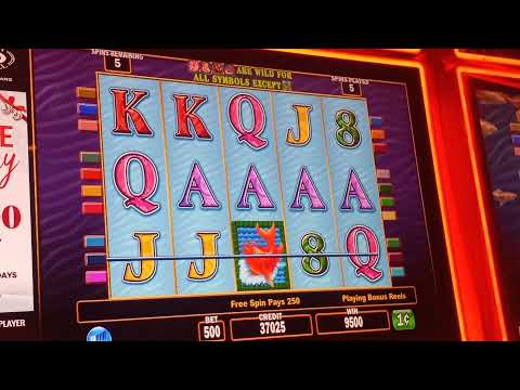 Guida pratica a Queen Casino: dalla registrazione al primo prelievo