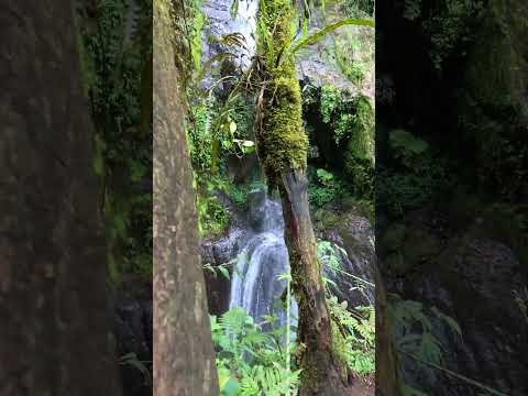 3 gargantas proyecto jardin antioquia atlas de cascadas inf 350-8837175