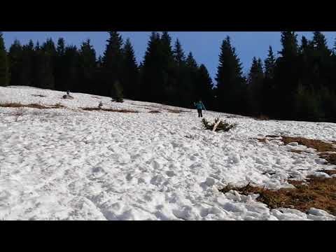 Kis-Fátra , lesiklás, seggen 2.