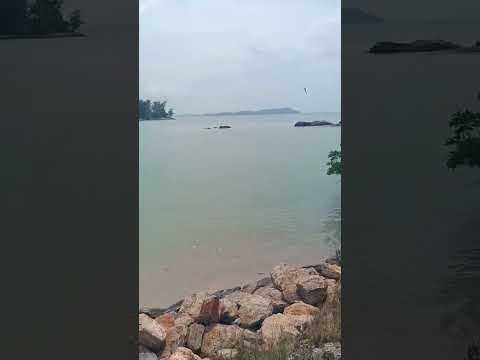 Beach #calvinharris #blessing #remix #electronicmusic #hemalazad