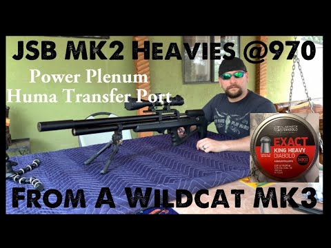 FX Wildcat MK3 Power Plenum Shooting JSB heavies and Slugs at 970FPS