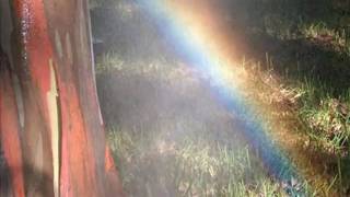My Choice 426 - André Rieu: Over the Rainbow