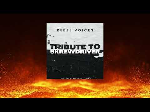 One Land -Re-Unification- (Skrewdriver) - Cover by Rebel Voices