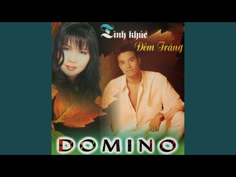 Ân tình mong manh - Ngọc Hương