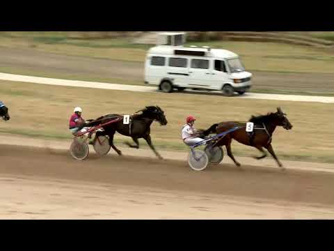 2022.08.20. 04. futam - 2022. ÉVI SEGÉDHAJTÓ KUPA IV. FUTAMA HENDIKEP