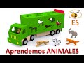 Los Animales Salvajes Para Niños Dibujos Animados Educativos En Español Learn Spanish