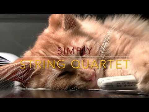Simply String Quartet