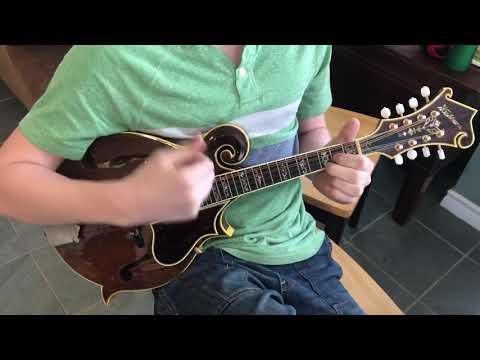 1970s, 80s Washburn Jethro Burns M-5S BR, Super rare brown finish short Demo