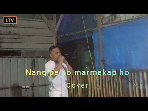 Nang Pe So Marmekap Ho Cipt. Tagor Tampubolon || Cover Lagu Batak