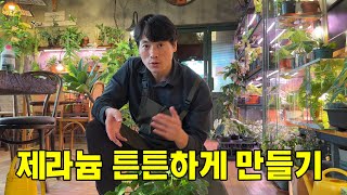 제라늄 튼튼하게 만드는 방법(식물 멀티비타민 같은 천연비료 50% 할인 구매 방법)
