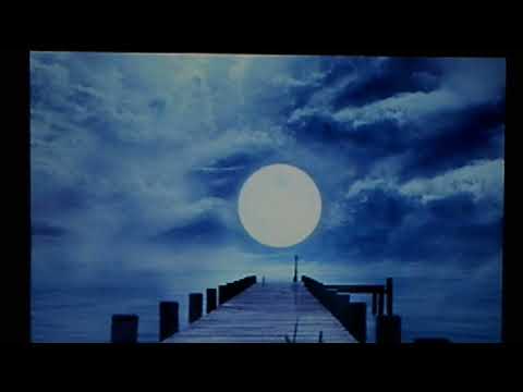 Roy Smeck's Trio, v./Ted Bancroft:  "Moonlight on the Colorado"  (1930)