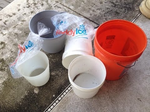 TJ Takes the ALS Ice Bucket Challenge