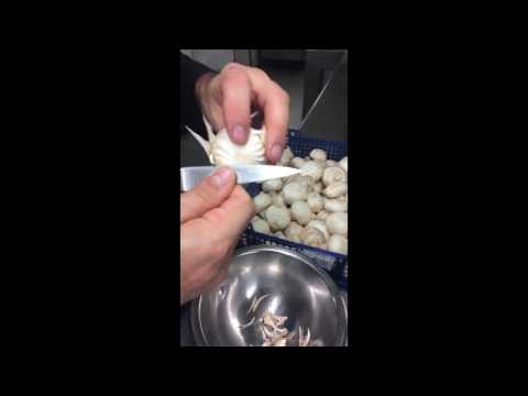 Comment réaliser un champignon tourné ? - Le Caro de Lyon
