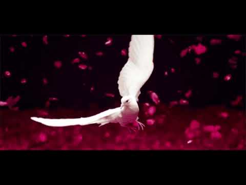 "Right or Wrong" -  Fisch3r ft Junior Paes (A Bit too Busy Remix)