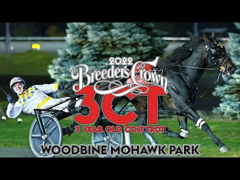 2022 Breeders Crown - King Of The North - 3CT