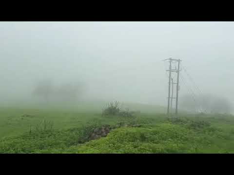 Oman’s Salalah is a truly beautiful place — lush mountains, stunning beaches ! 🌴✨