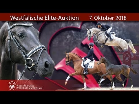 Westfälische Elite-Auktion, 7. Oktober 2018. Der Trailer