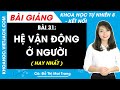 Khoa học tự nhiên 8 Bài 31: Hệ vận động ở người | Kết nối tri thức