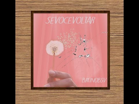 BrunoBsv - Sevocevoltar