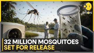 Google's Plans To Release 32 Million Mosquito Army | WION