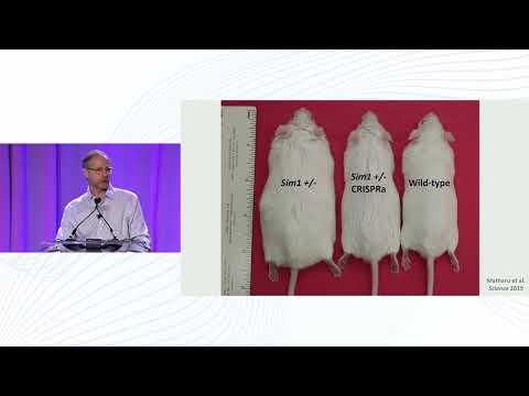 Nadav Ahituv | 2023 FAST Summit on Angelman Syndrome