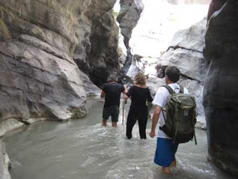 Società Agricola MG Florplant - Francavilla Marittima - Italy