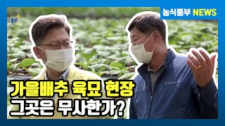 가을배추 육묘 현장 방문 / 농식품부 News