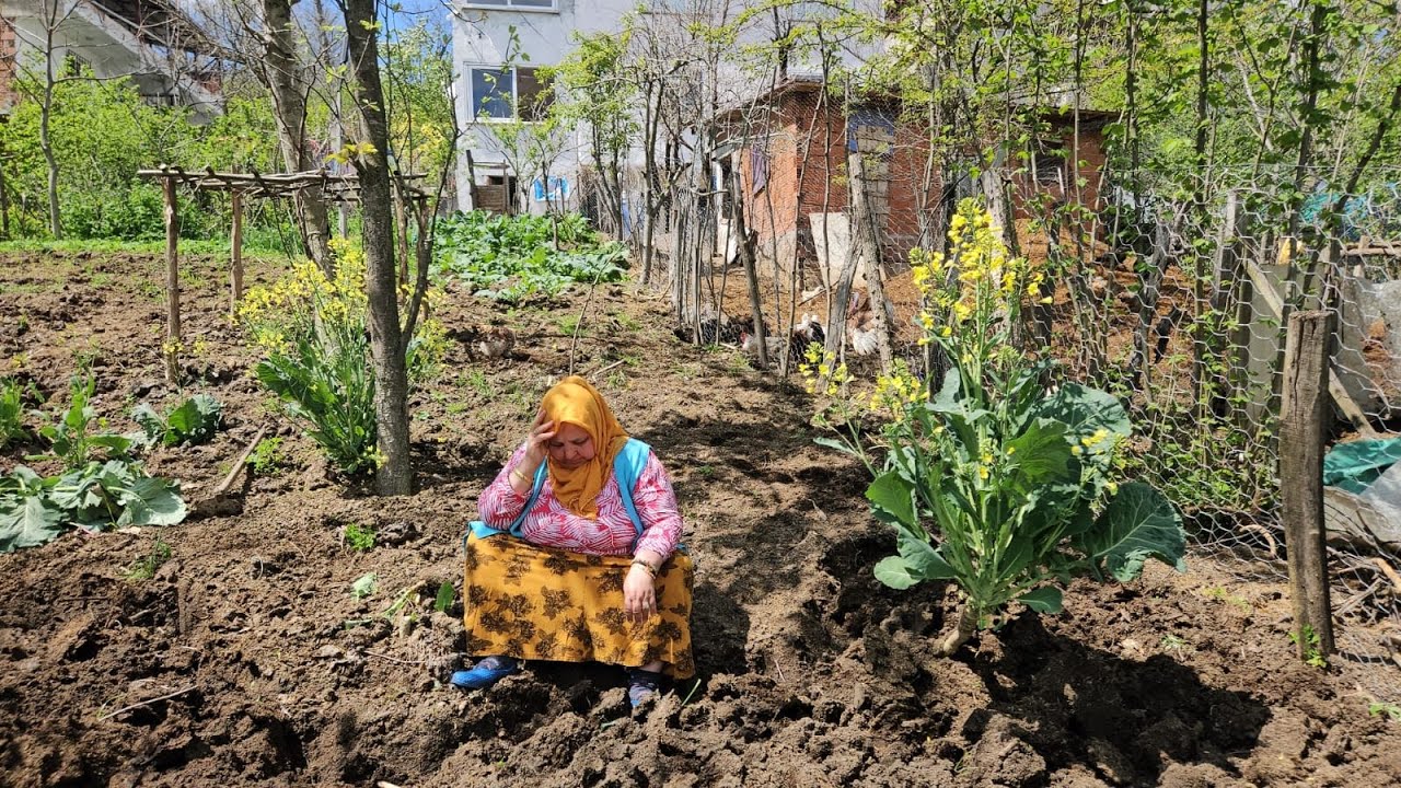 ‼️ŞÜKRÜ USTAYA ÇOK ÜZÜLÜYORUM BAĞ BAHÇE İŞLERİ BAŞLADI‼️