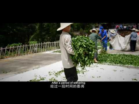 Kung paano gumawa ng isang scrub ng kape at slimming Pagkain para sa pagbaba ng timbang sa 10 kg bawat linggo video