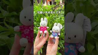 🌴ワイキキで話題のキラ×ミッフィーで買えるハワイ限定アイテム🌺　#hawaii #ハワイ #ハワイ土産