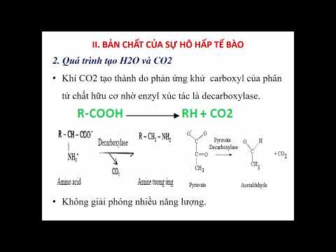 Chuyển Hóa năng lượng (hóa sinh) Y2