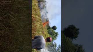 preview picture of video 'KebakaraN kebun sawit mahalona'