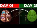How To Rewire Your Brain Neuroplasticity Explained Step By Step