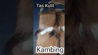 Download lagu Tas kulit kambing  #taskulit mp3
