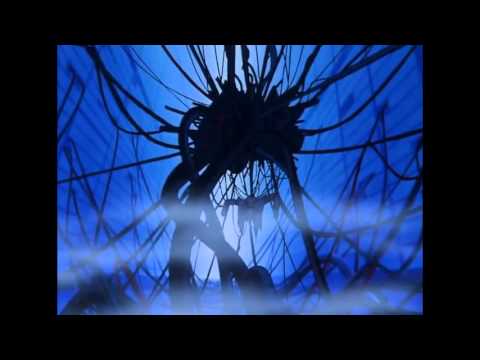 Lazerhawk - Skull and Shark