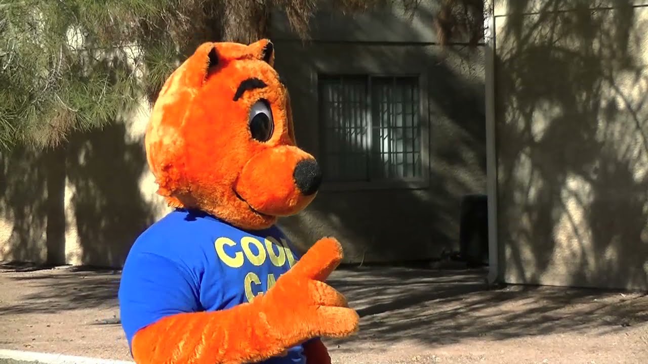 Cool Cat Safety scene from "Cool Cat Fight Coronavirus".