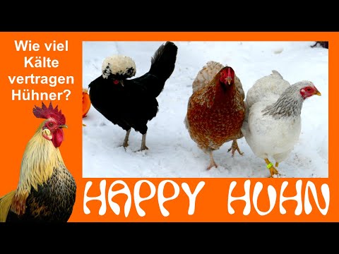 , title : 'E56 Wie viel Kälte vertragen Hühner? HAPPY HUHN - Hühnerhaltung im Winter - Frost, Schnee Minusgrade'