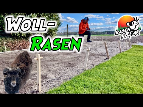 RASEN säen mit WOLLRASEN 🐑 auf der neuen SÜDKANTE. Wie funktioniert Wollrasen? Was ist der Vorteil?