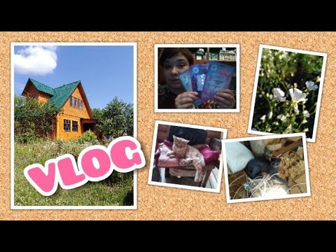 VLOG / НОВИНКИ в Fix Price! Собираю мебель для сарая. ОТЗЫВ о заказе теплиц / Elena Pero