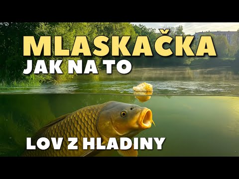 MLASKAČKA - LOV KAPRŮ Z HLADINY