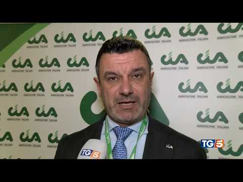 TG5 - Servizio Civile Agricolo: Cia presenta il progetto. Con Inac, Agea e Masaf