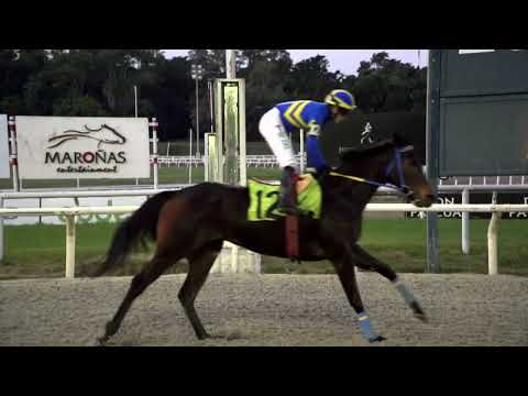 220709 c09 MESTRE ROYAL