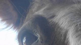 life goes easy on me