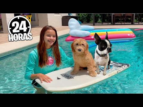 24 HORAS COM MEUS CACHORROS!! Passei Um Dia Inteiro Cuidando do *Oakley e da Skye* 🐶🐶❤️
