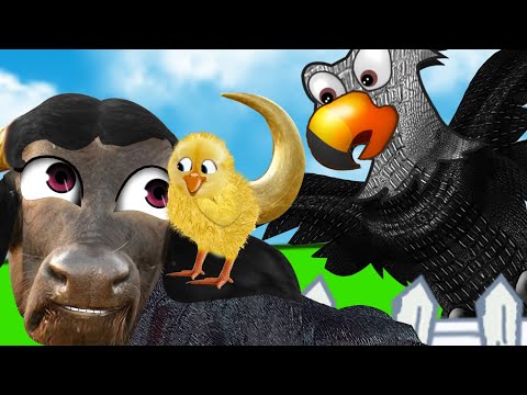 BOI DA CARA PRETA & PINTINHO AMARELINHO 🐥🐂| MÚSICA INFANTIL | CANÇÕES DE NINAR 😴💤| NURSERY RHYMES🎵🎵🎵