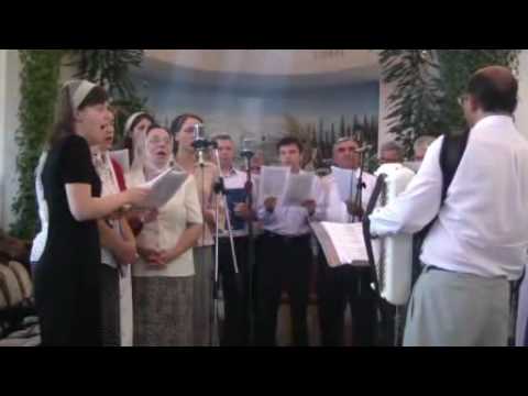 Bivolarie   Imponderabilitate   2010