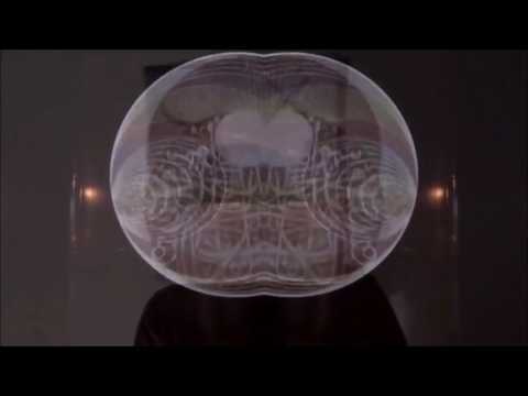 Hasengruppe feat. BlaDesa vs Shawn Stein (KKT 2014 8tel) (prod. by PaSt) [Reupload]