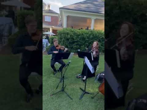 Promotional video thumbnail 1 for Seiler Strings