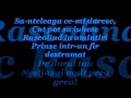 Adela Popescu- Doar tu karaoke 
